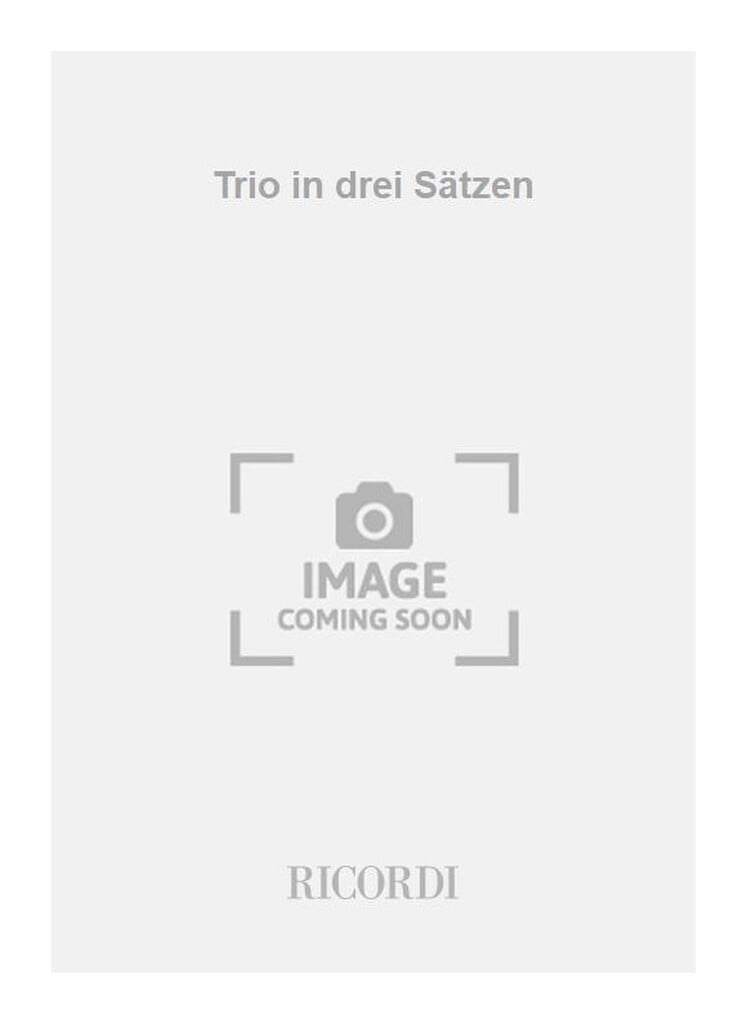 Trio in drei Sätzen